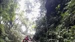 Foto Macan di Kawasan Bromo