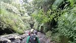 Foto Macan di Kawasan Bromo