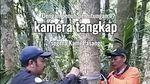 Foto Macan di Kawasan Bromo