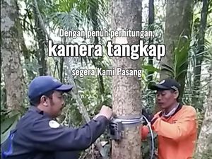 Proses Panjang Terekamnya Macan Tutul di TNBTS, Tak Sekadar Pasang Kamera Saja