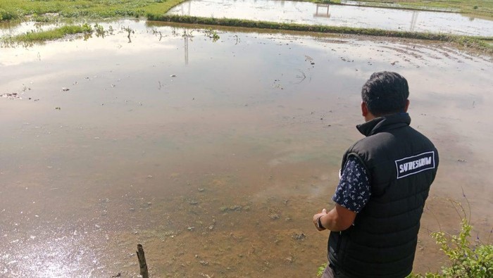 Polisi meninjau lokasi lahan sawah yang diklaim milik Wakil Ketua DPRD Kabupaten Majene, Junaedi.