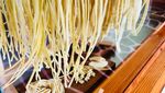 10 Jenis Pasta dengan Rating Terendah Versi Taste Atlas