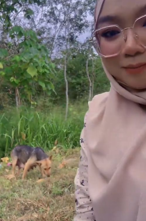 Mulia! Pasutri Rela Berkendara Jauh Demi Beli Makanan Untuk Anjing Liar