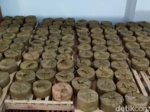 Sibuknya Para Pembuat Dodol China Legendaris di Majalengka