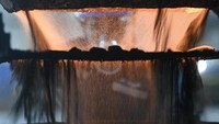 Pekerja melakukan proses konsentrasi timah (mineral dressing) di Pusat Pengolahan Bijih Timah (PPBT) PT Timah Tbk di Bangka Barat, Kepulauan Bangka Belitung. 