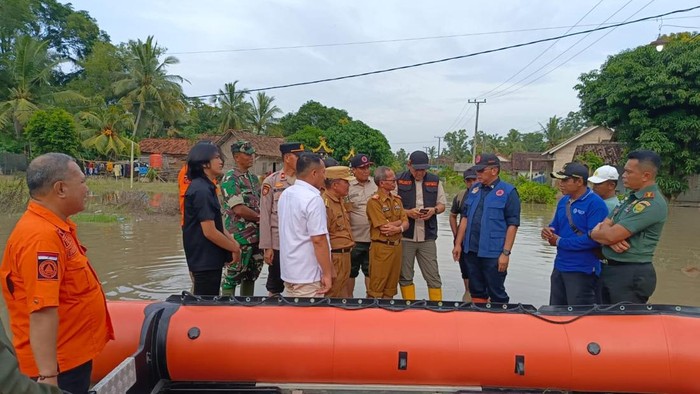 Ribuan hektare sawah di Lampung Timur terendam banjir