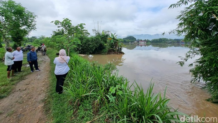Sawah warga Ponorogo yang terendam banjir akibat tanggul jebol