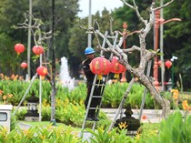 Suasana Jelang Imlek di Bali