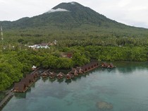 Perairan Maluku Bakal Jadi Kawasan Ekosistem Karbon Biru
