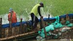 270 KK di Bojongoro Terisolir Akibat Banjir Bengawan Solo