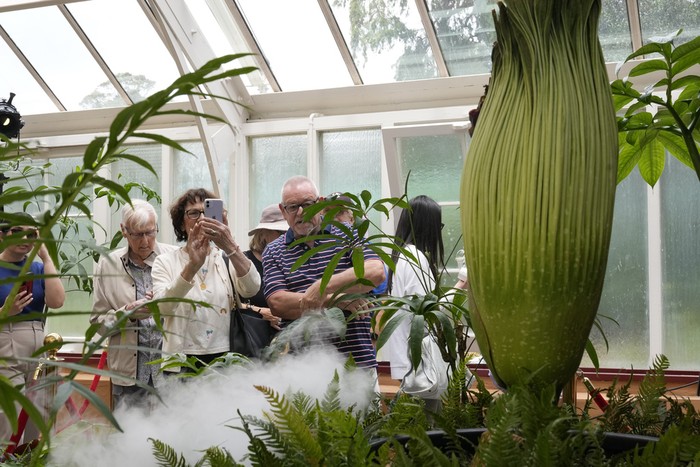 Karen, center left, and Wayne McKay photograph themselves with an endangered plant known as the 