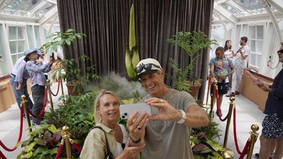 Bunga Bangkai Jadi Primadona Royal Botanic Gardens Sydney