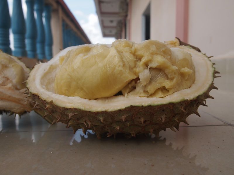 Durian Vietnam