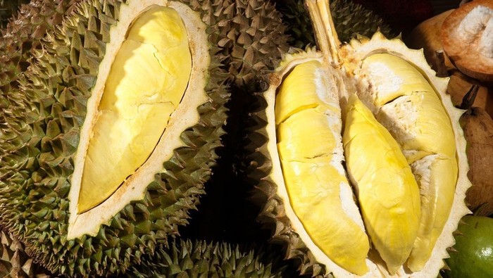 Durian Vietnam