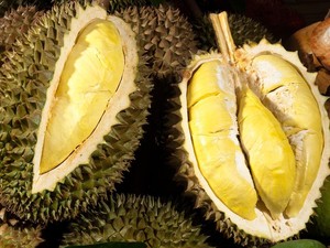 5 Jenis Durian Vietnam nan Legit yang Jadi Incaran di Pasar Internasional