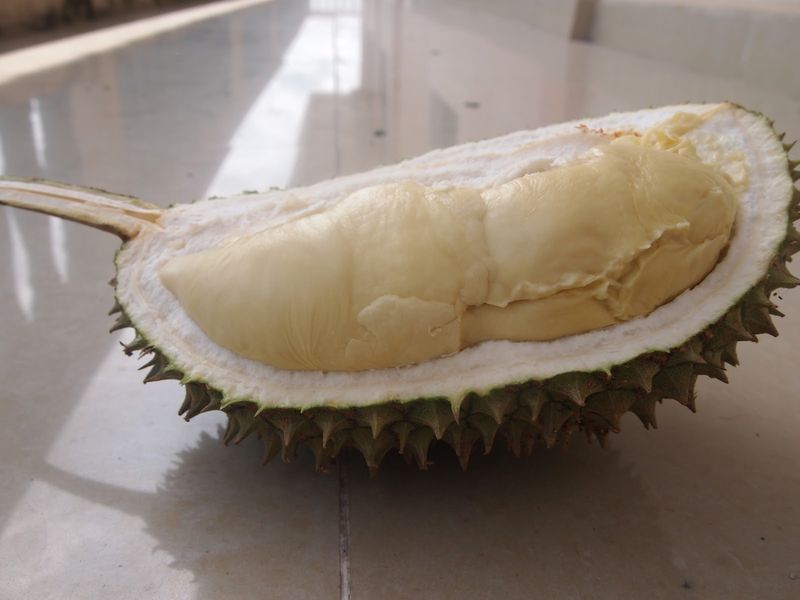 Durian Vietnam