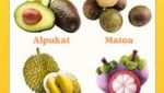 Ini Kalender Musim Buah Lokal Indonesia 2025