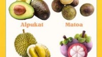 Memasuki akhir tahun di bulan November, ada buah alpukat, matoa, durian dan manggis yang sedang musim. Foto: Instagram @gen2bsa