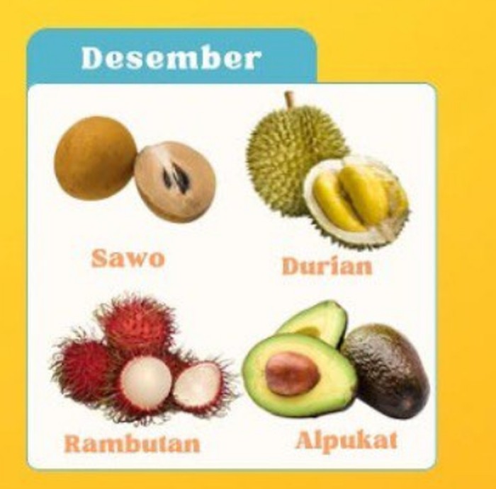Ini Kalender Musim Buah Lokal Indonesia 2025 Ini Kalender Musim Buah Lokal Indonesia 2025
