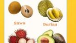 Ini Kalender Musim Buah Lokal Indonesia 2025