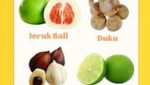 Ini Kalender Musim Buah Lokal Indonesia 2025