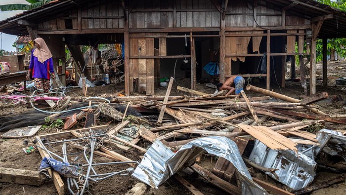 Warga mencari barang yang masih bisa diselamatkan di sekitar rumahnya yang roboh diterjang banjir bandang akibat jebolnya tanggul Sungai Tuntang di Dusun Mintreng, Desa Baturagung, Kecamatan Gubug, Kabupaten Grobogan, Jawa Tengah, Kamis (23/1/2025). Data sementara yang dihimpun kepala desa setempat, sebanyak 15 unit rumah hanyut, lima unit rumah roboh serta 50 unit rusak berat, yang hingga hari ketiga peristiwa tersebut sekitar 200 jiwa mengungsi ke sejumlah lokasi posko pengungsian. ANTARA FOTO/Aji Styawan/Spt.