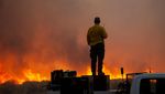 Melihat Pemadaman Kebakaran Hutan di Santa Clarita California