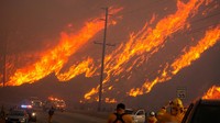 Hutan di dekat Danau Castaic, sebelah utara Santa Clarita, California, AS, terbakar, Selasa (22/1) waktu setempat. 
