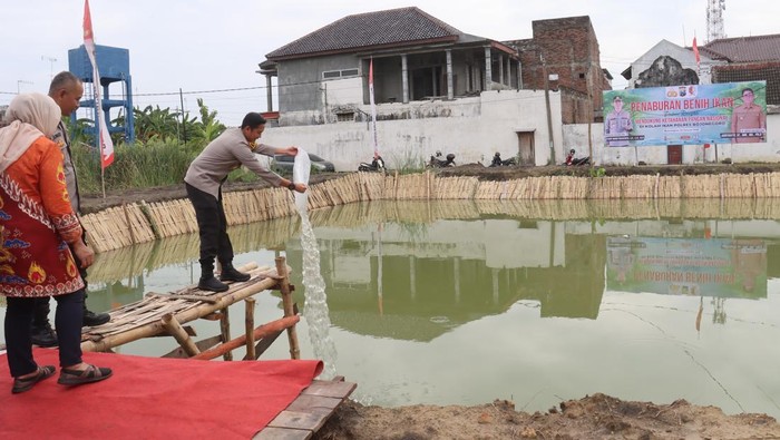 Penebaran benih ikan