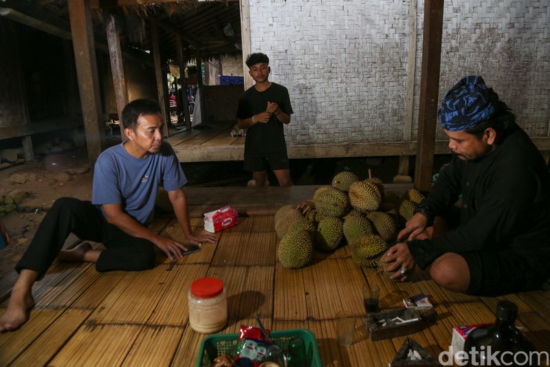 Pengunjung yang ingin menikmati Durian Baduy