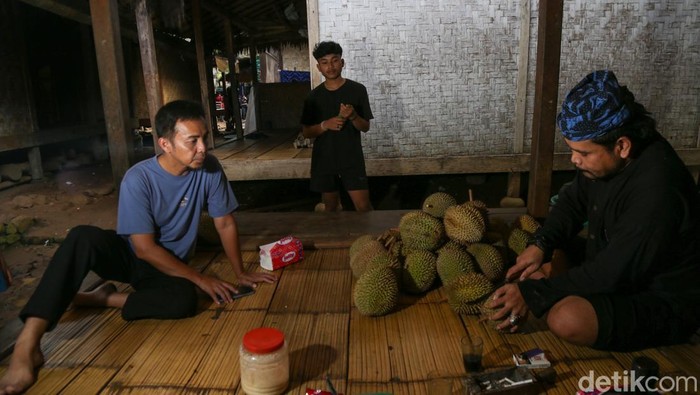 Sebelum Kawalu, Traveler Masih Bisa Pesta Durian di Baduy