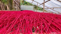 Peningkatan jumlah pesanan yang signifikan ini membuat Giman sampai kewalahan. 