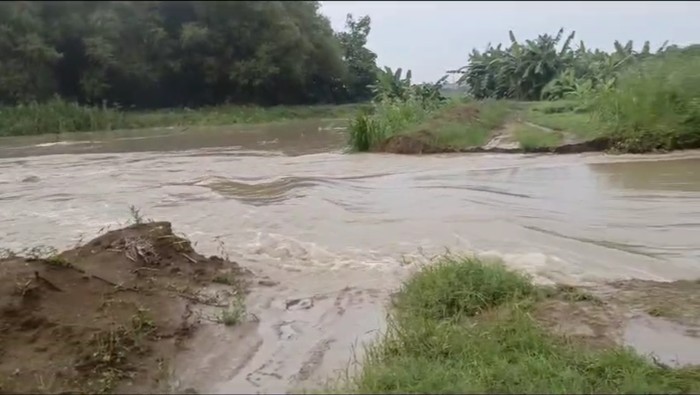 Tanggul di Maduran Lamongan Jebol akibat luapan Bengawan Solo