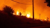 Hanya dalam beberapa jam pada hari Rabu, kebakaran baru tersebut telah meluas hingga dua pertiga dari ukuran Kebakaran Eaton, salah satu dari dua kebakaran besar yang telah melanda wilayah Los Angeles.  