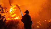 Sekitar 31.000 orang berada di bawah perintah evakuasi wajib dan 23.000 lainnya menghadapi peringatan evakuasi, kata Sheriff Kabupaten Los Angeles Robert Luna dalam konferensi pers. Hutan Nasional Angeles mengatakan seluruh taman seluas 700.000 hektar (2.800 km persegi) di Pegunungan San Gabriel ditutup untuk pengunjung.  