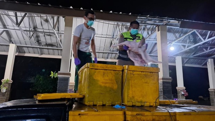 Balai Karantina Lampung bersama KSKP Bakauheni mengagalkan upaya penyelundupan karkas babi.