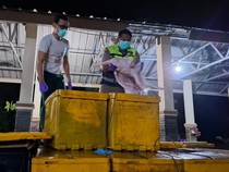 Balai Karantina Lampung Gagalkan 1,2 Ton Karkas Babi