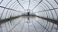 Petani kelompok Cipta Rasa Garam Madasri membersihkan tambak garam yang menggunakan teknologi tunnel geomembrane di Kecamatan Cimerak, Kabupaten Pangandaran, Jawa Barat, Kamis (23/1/2025).  