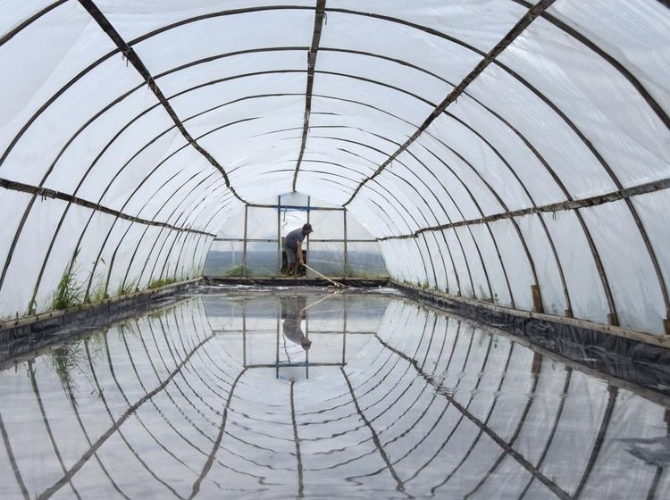 Begini Kesibukan Petani Garam di Pangandaran