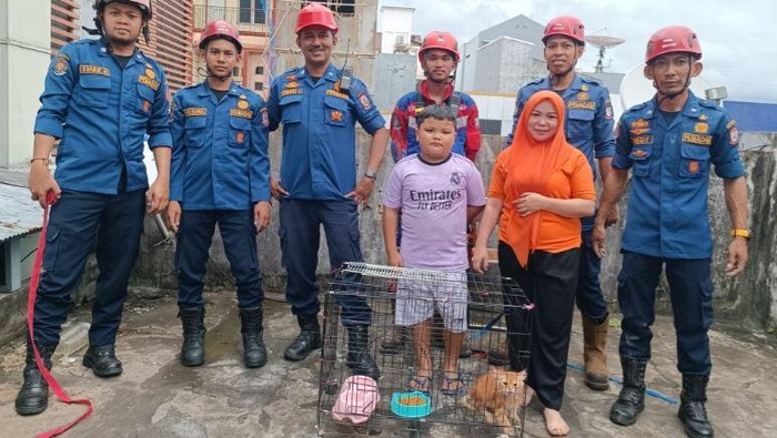 Damkarmat Makassar mengevakuasi kucing terjebak di sela bangunan.