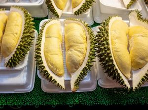 Selain Monthong, Ini 4 Jenis Durian Thailand yang Istimewa