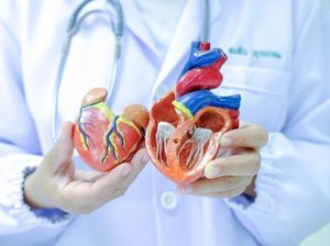 5 Jenis Makanan yang Dapat Meningkatkan Kesehatan Jantung Berdasarkan Studi