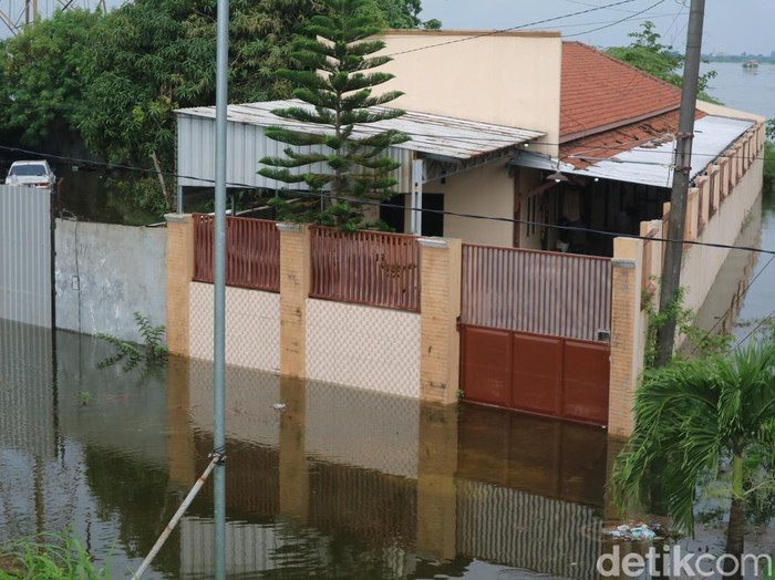 Kondisi banjir di Desa Pasuruan Lor, Kecamatan Jati, Kabupaten Kudus, Jumat (24/1/2025).