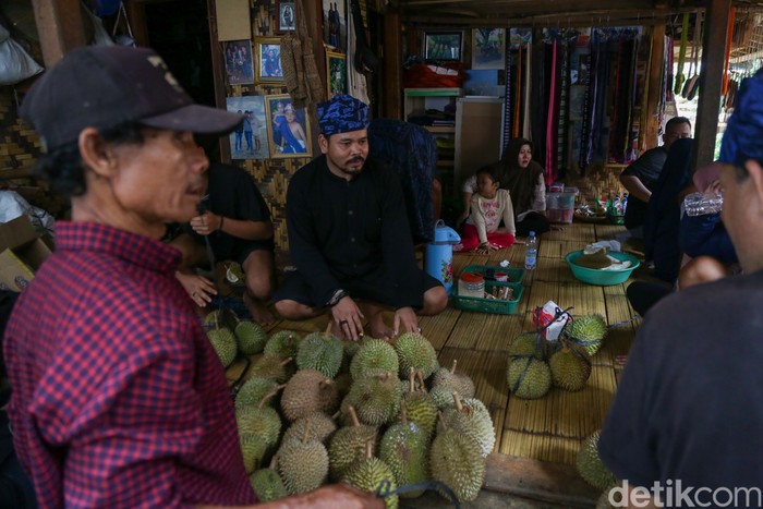 Durian Baduy rupanya tersohor di kalangan wisatawan. Buktinya ketika musim durian tiba, wisatawan berbondong-bondong ke Baduy.