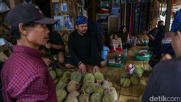 Musim Durian Tiba, Wisatawan Serbu Baduy