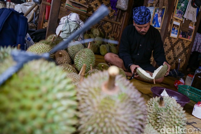 Durian Baduy rupanya tersohor di kalangan wisatawan. Buktinya ketika musim durian tiba, wisatawan berbondong-bondong ke Baduy.