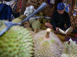 Menikmati Durian Khas Baduy, Diserbu Turis-turis Eropa
