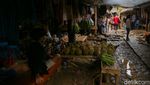 Musim Durian Tiba, Wisatawan Serbu Baduy