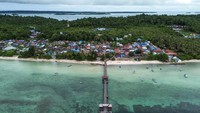 Kehidupan sebagai nelayan yang merupakan jalan hidup orang-orang Bajo membentuk kearifan lokal tersendiri yang menarik untuk diselami.