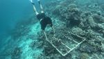 Pulau Maratua Bak Kepingan Surga di Berau